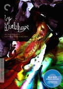 By Brakhage: An Anthology,  Volumes One and Two Criterion Blu-Ray